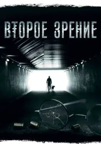 Второе зрение (2016)